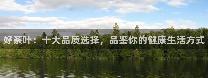 鸿运国际网址平台