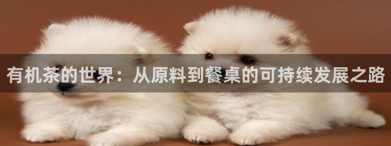 鸿运国际平台台