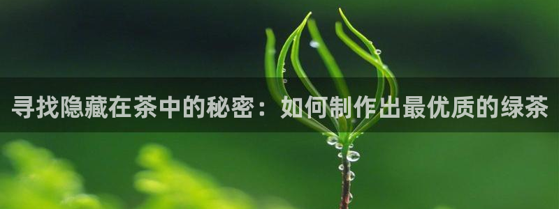 鸿运网彩票平台