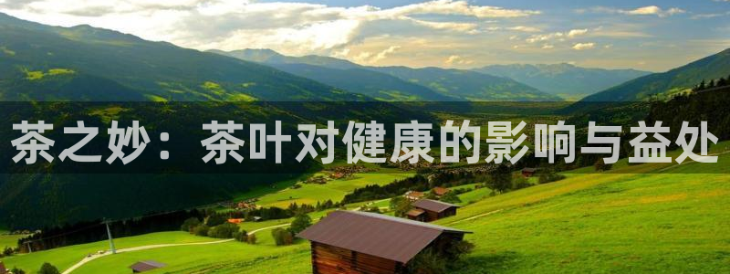 鸿运娱乐平台