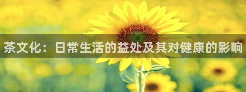 鸿运平台进入官网