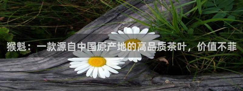 新鸿运娱乐平台