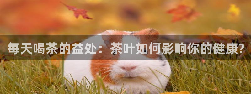 鸿运直播平台下载