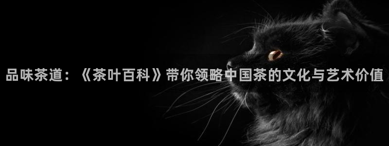 鸿运十三张充值平台