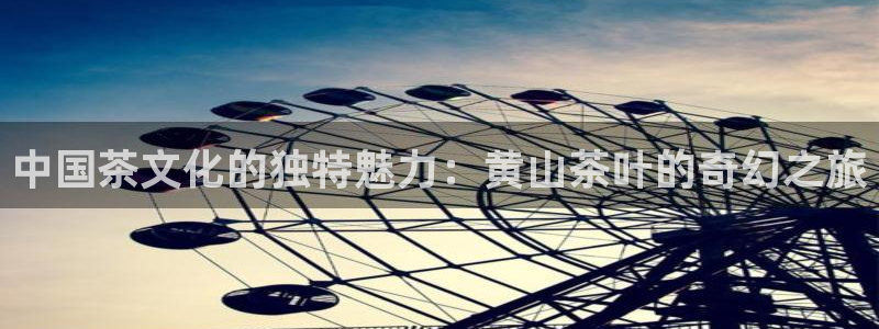 鸿运升降机械平台
