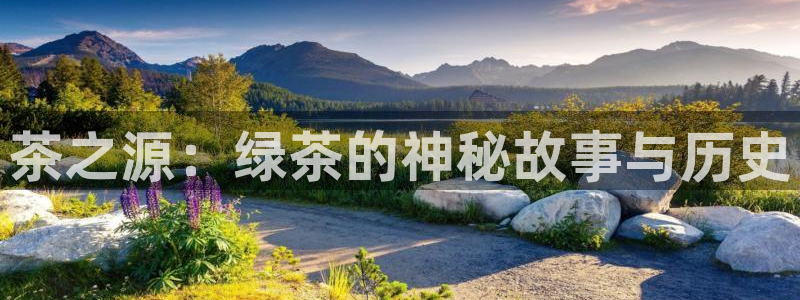 鸿运国际赌场平台