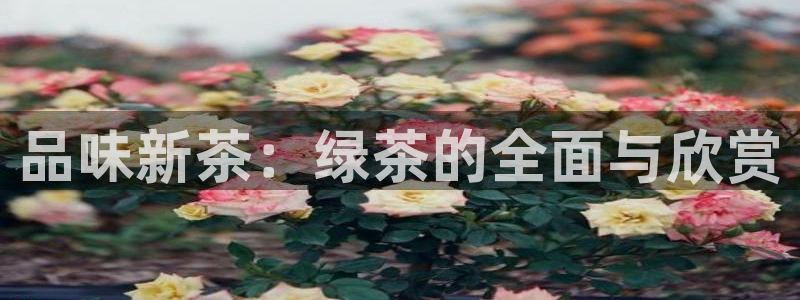 鸿运集团平台招聘信息