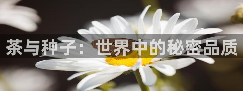 鸿运平台兼职招聘
