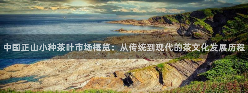 鸿运当头网贷平台