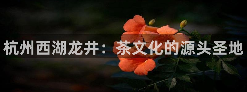 鸿运平台骗局曝光案例