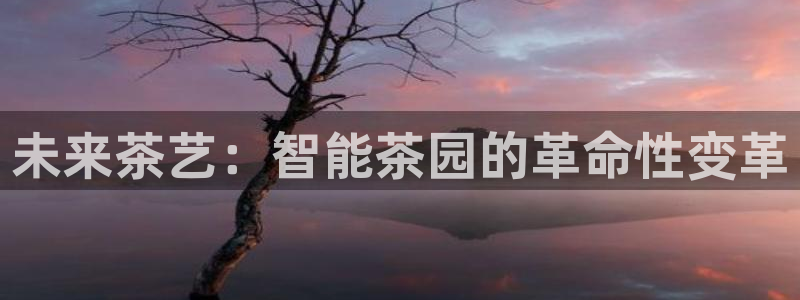 鸿运到平台注册
