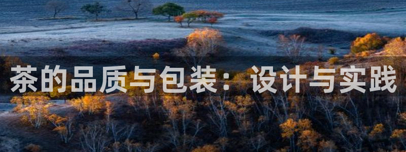 九九鸿运平台