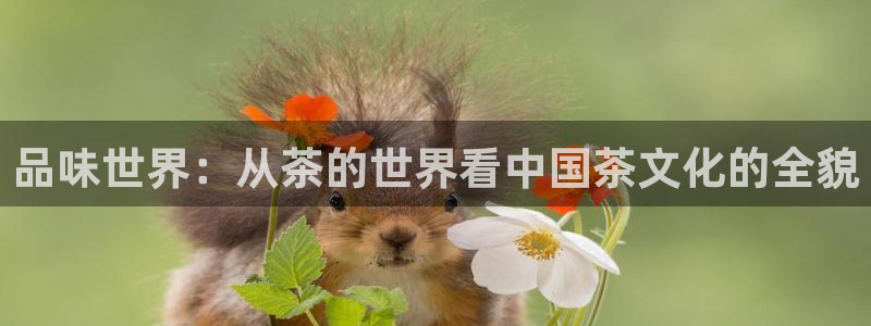 鸿运注册平台闪电