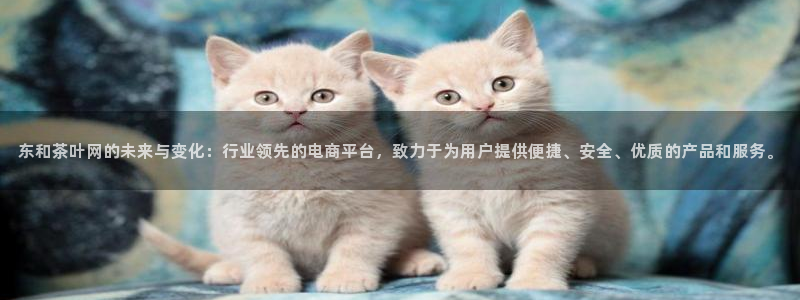 鸿运网平台是什么