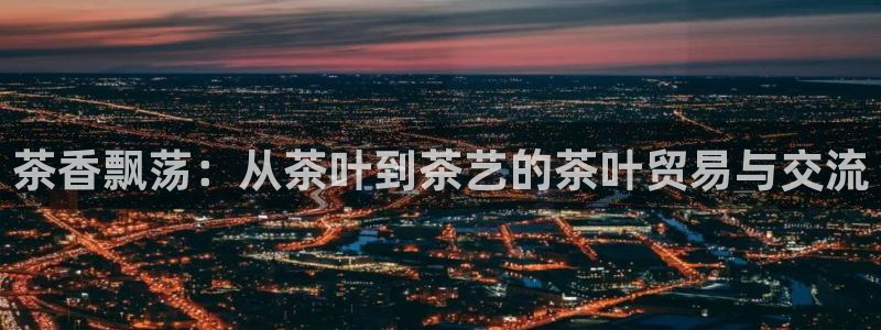 鸿运彩票平台登录不了