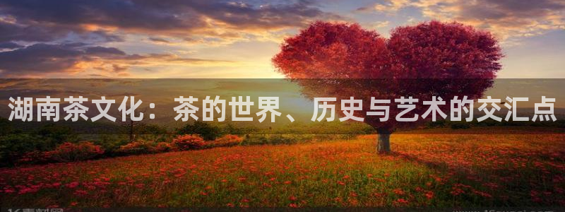 鸿运商滴管理平台