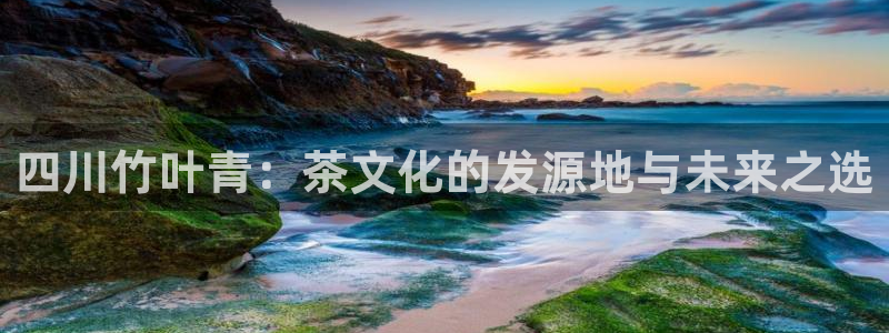 鸿运平台骗局揭秘