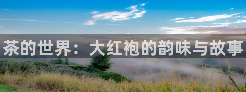 鸿运彩票注册平台
