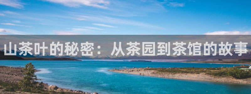 鸿运app直播平台