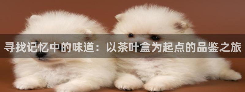 琥珀鸿运是个国际平台吗