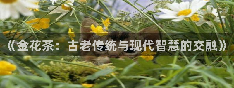 九九鸿运平台