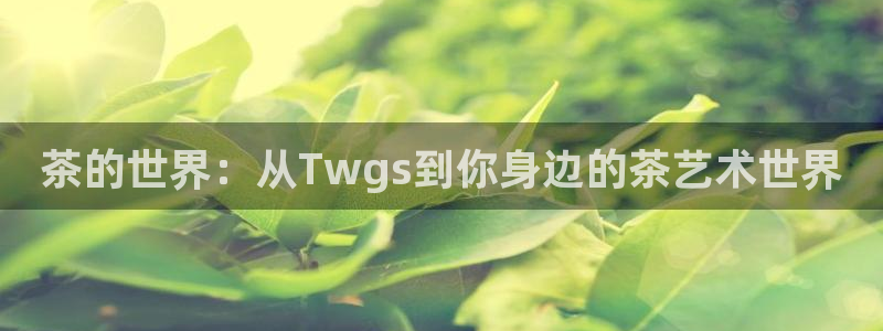 鸿运彩票平台怎样