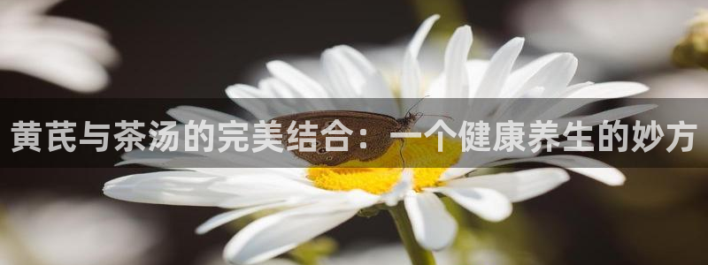 鸿运网平台用户