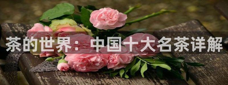 鸿运充值平台
